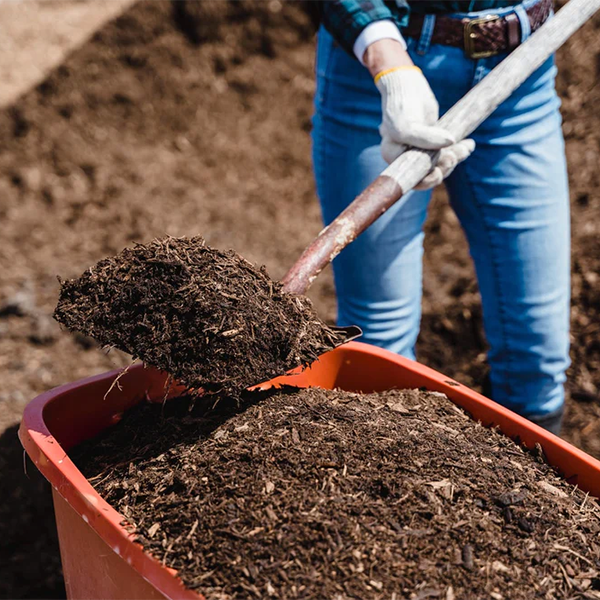 Compost Shredder: How to Use, Types, Benefits & More
