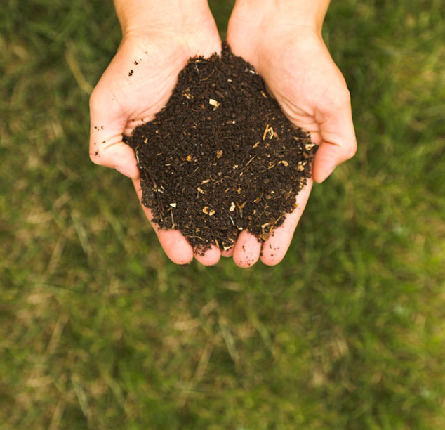 Reducing the Impact of Wasted Food by Feeding the Soil and Composting