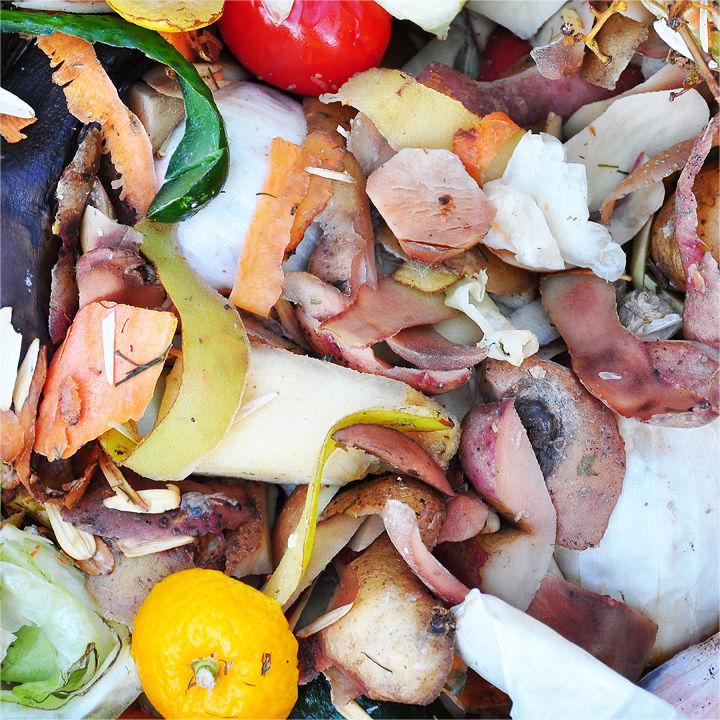 Food Waste Management in Canada: Policies, Methods, Risks, and Costs