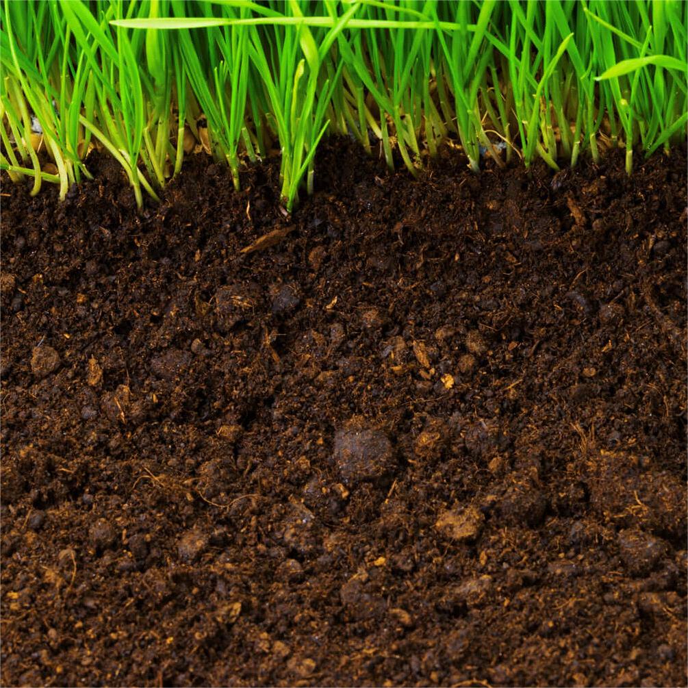 Differences Between Macronutrient Fertilizers and Micronutrient Fertilizers