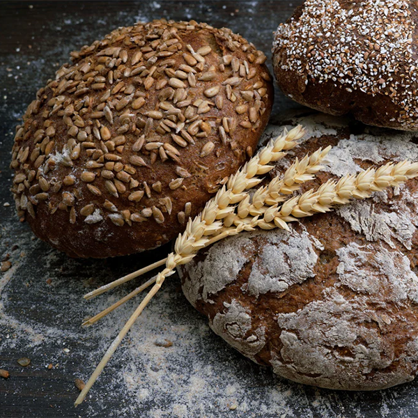 Can You Compost Bread?