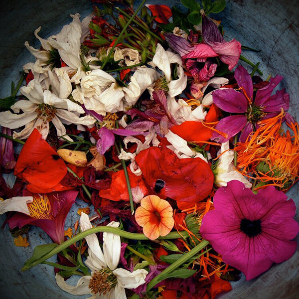 Can You Compost Flowers?