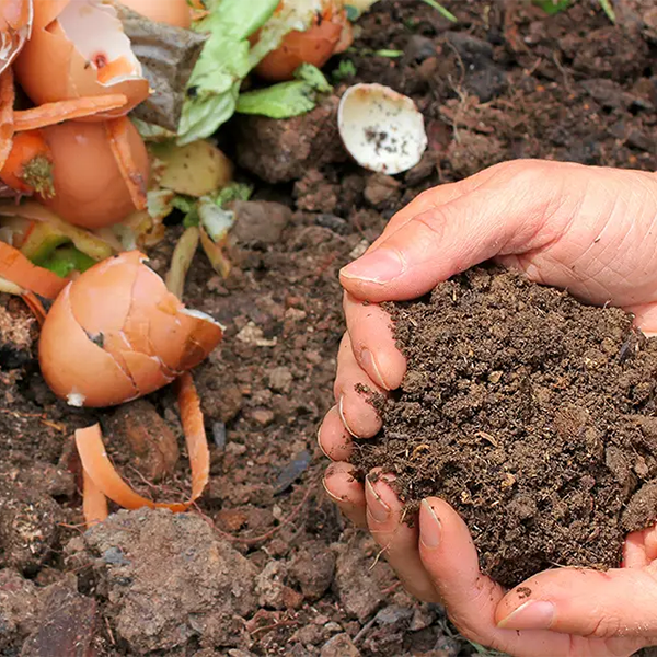 Types of Composting