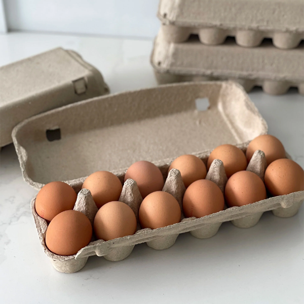 Can You Compost Egg Cartons?