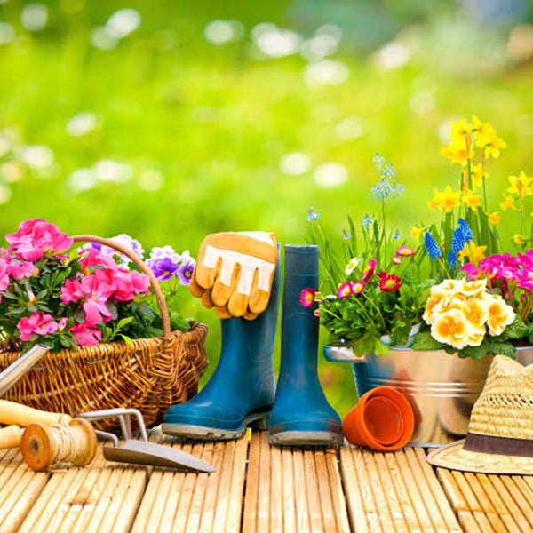 Essential Fall and Winter Gardening Tips for a Thriving Spring Harvest