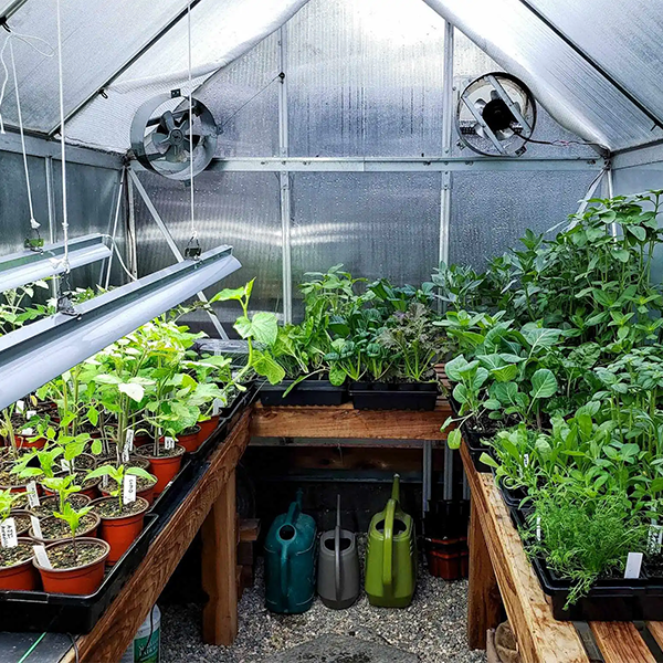Everything You Need to Know to Start A Hobby Greenhouse