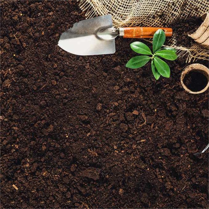 Principles of Composting and Factors Affecting Compost Quality