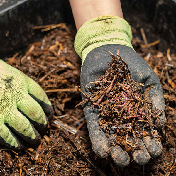 Does Compost Attract Animals? Ways to Keep Pests Out?