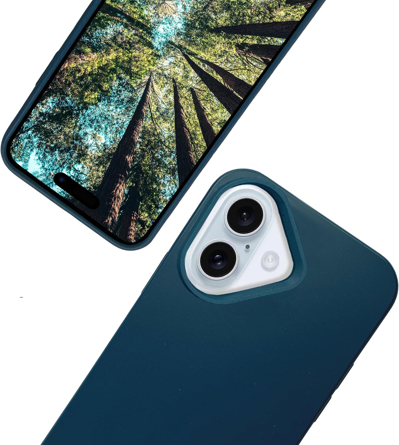 iPhone 16 Plus Cases