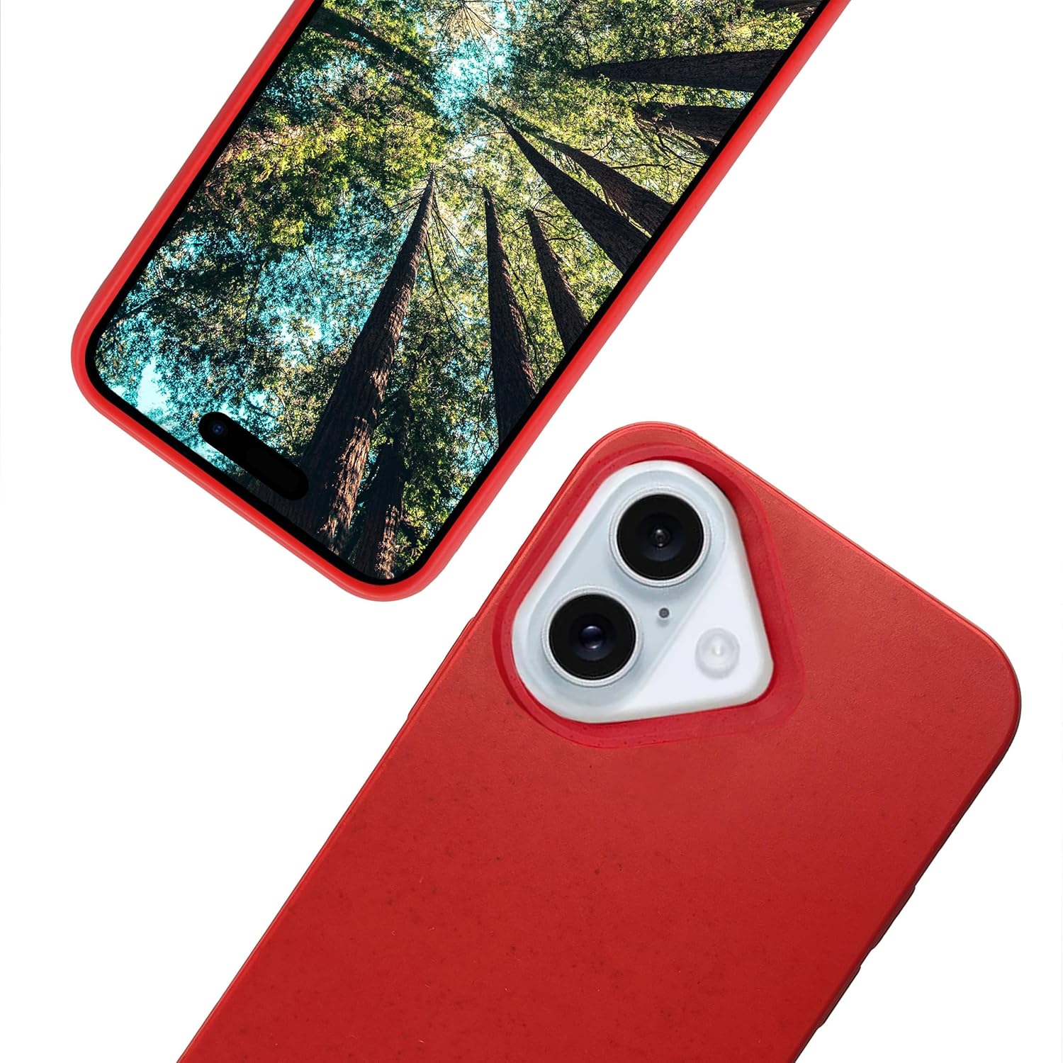 iPhone 16 Plus Cases