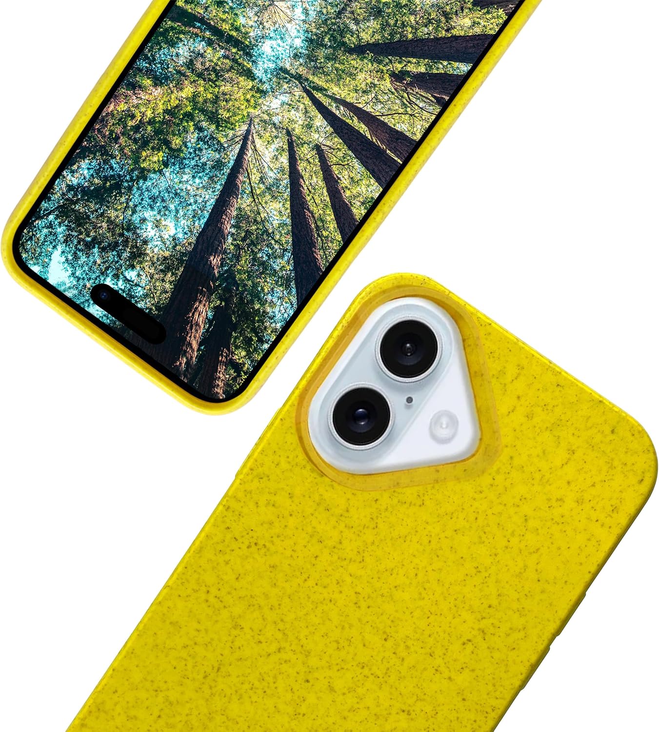 iPhone 16 Plus Cases